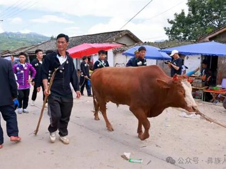 克惹晓夫：满屏皆布拖，众口皆火把！